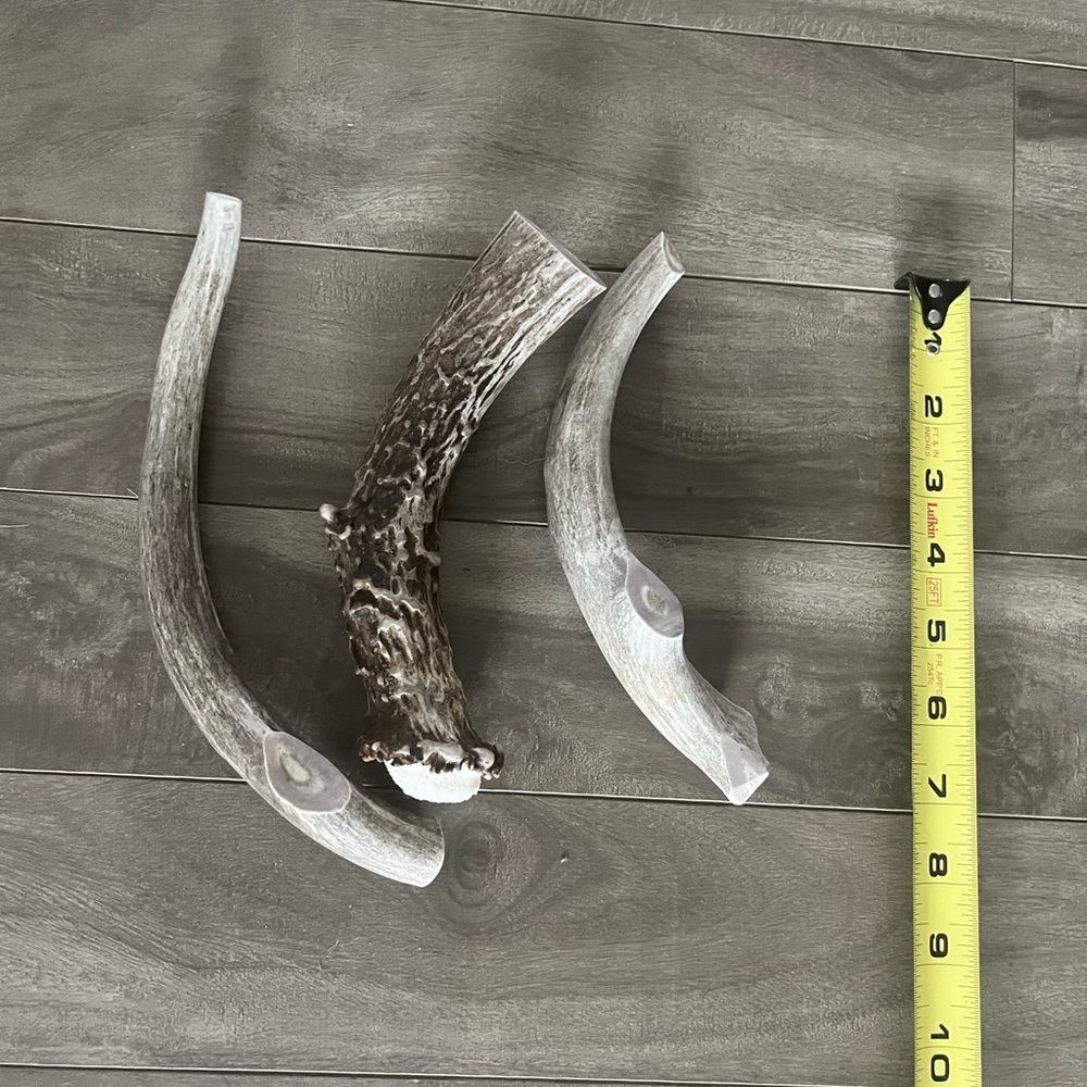 Deer Antler Pieces